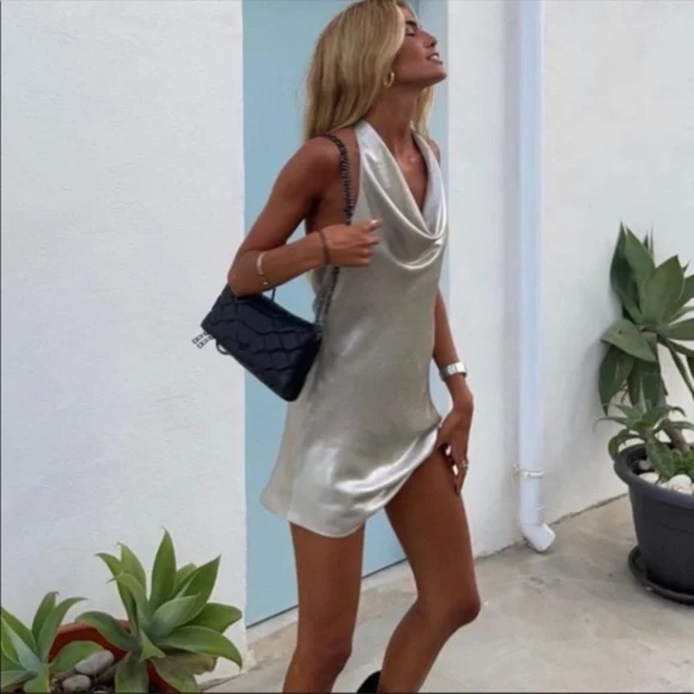 Zara Dress - Picture 3 of 9